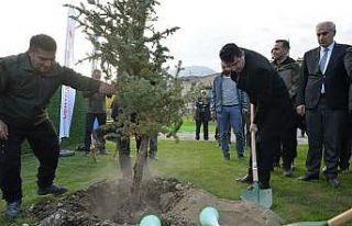 Doğa harikası Tortum Şelalesi’nin çehresi yeni...