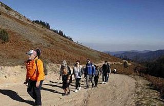 Doğa tutkunlarının son rotası Dikmen Yaylası...