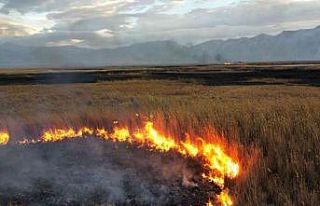 Doğal güzelliği ile gündeme gelen gölde büyük...