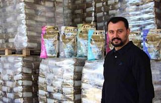 Doğu Karadeniz’den dünyaya kedi kumu ihraç ediyorlar