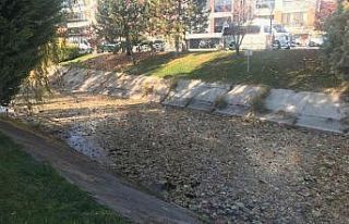 Dökülen yapraklar su yüzeyini kapladı