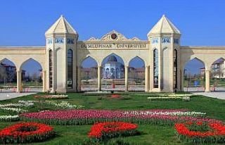 DPÜ’nün 8 projede destek