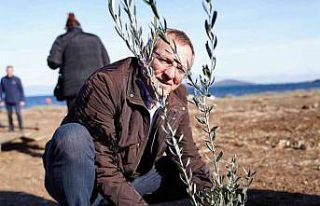 Dünya Zeytin Ağacı Günü’nde zeytin diktiler