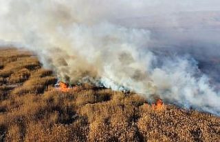 Eber Gölü’ndeki sazlık alanda yangın
