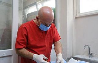 Edremit Belediyesi 7/24 sokak hayvanlarının yanında