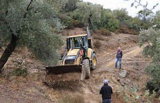 Efeler Belediyesi zeytinlik yollarını açıyor