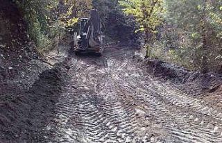 Efeler, kapanan Alatepe Yayla yolunu açtı