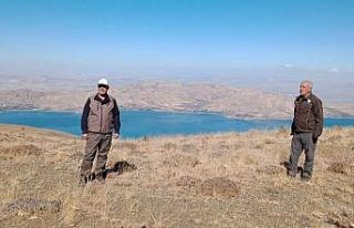 Elazığ’da yasadışı avcılık yapan şahsa ceza