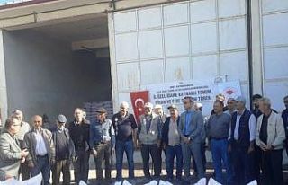 Emet’te 440 çiftçiye 44 ton sertifikalı buğday...