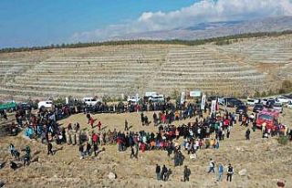 Erzincan’da 410 dönüm alanda 36 bin adet fidan...