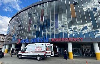 Erzincan’da ayı saldırısına uğrayan kadın...