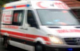 Eşinin kestiği dal sonu oldu