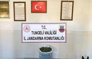 Evinden uyuşturucu madde ve silahlar çıkan şüpheli...