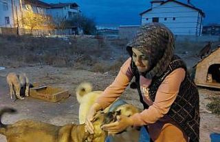 Evini sokak hayvanlarına açtı