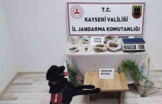 Evinin bahçesinde uyuşturucu üreten şahıs yakalandı