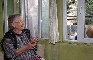 Eyüpsultan’da bakıma muhtaç insanların evleri,...