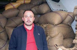Fındık fiyatları yükselişe geçti