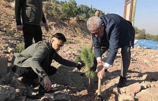 Gelecek için binlerce fidan diktiler