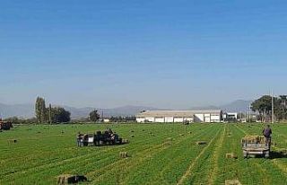 Germencik Belediyesi’nden çiftçiye can suyu