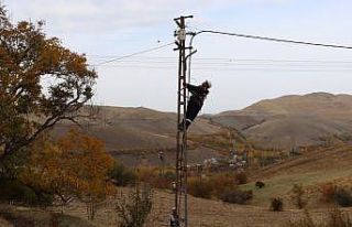 Gevaş’ta 2 milyon TL bedelle havai elektrik hattında...