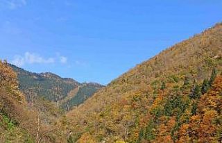 Giresun yaylalarında sonbahar esintileri
