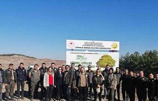 Gördes’te 5 bin fidan toprakla buluştu