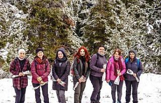 Gümüşhaneli dağcılardan öğretmenlere zirvede...