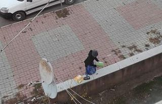 Günün fotoğrafı Afyonkarahisar’dan