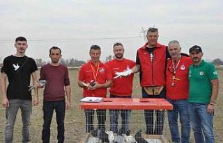 Güvercinlerin performansı tam not aldı