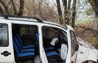 Hafif ticari araç şarampole yuvarlandı