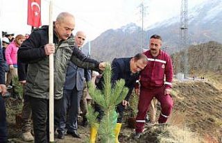 Hakkari’de 2 bin 500 fidan dikildi