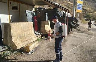 Hakkari’de Sarı Ömer örümceğine karşı ilaçlama...