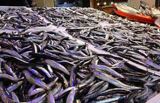 Hamsi tezgahları şenlendirmeye başladı