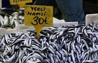 Hamsinin fiyatı düştü, talep azaldı