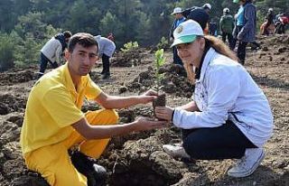 Hatay’da 24 bin 630 fidan dikildi