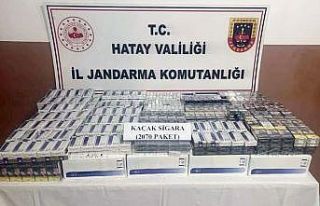 Hatay’da kaçak sigara operasyonu