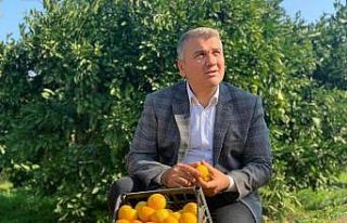 Havran Ovası için 60 milyonluk kaynak Cumhurbaşkanlığı...