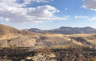 Hekimhan’da arazi yangını: 8 dönüm zarar gördü