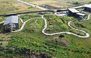 Hersek Lagünü Altınova’nın yeni turizm noktası...