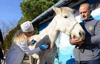 Hırsızlık yapanlar şiddet uygulayıp ölüme terk...