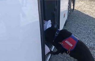 Iğdır’da yolcu otobüsünde uyuşturucu ele geçirildi