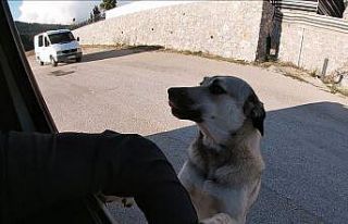 İnsanın içini ısıtan buluşma