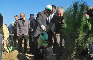 İzmir’de 42 bin fidan toprakla buluştu