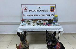 Jandarmadan 4 adrese uyuşturucu operasyonu