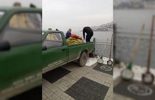Kaçak midye avcılarına operasyon