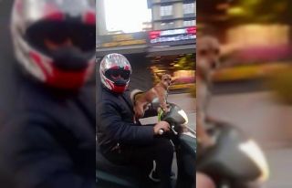 Kadıköy’de köpeğin motosiklet üzerinde gülümseten...