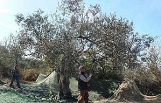 Kadın işçiler eşit ücret istiyor