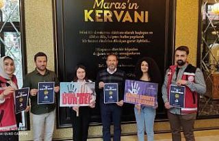 Kadına yönelik şiddete dikkat çektiler