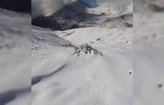 Kahramanmaraş beyaza büründü