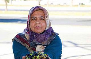 Kahramanmaraş’ta zeytinin yağa dönüşüm yolculuğu...